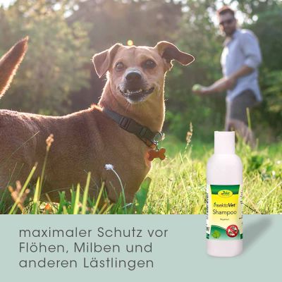 Thumbnail 8: insektoVet® Shampoo 200 ml – Pflegeshampoo zur natürlichen Geruchsmaskierung für Hunde & Katzen