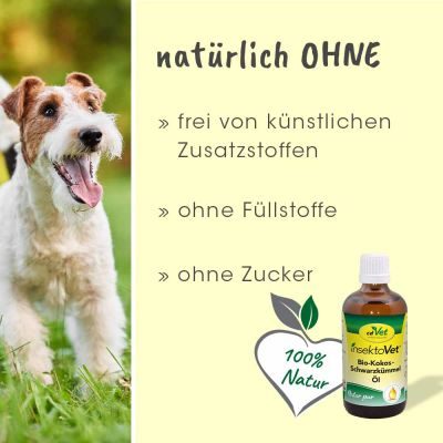 Thumbnail 4: cdVet insektoVet Bio-Kokos-Schwarzkümmel-Öl 100 ml für Hunde – BIO Ergänzungsfuttermittel