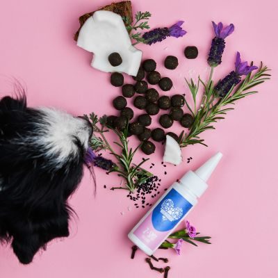 Thumbnail 2: Tierliebhaber Z-Spot für Hunde - Gegen Zecken & Flöhe