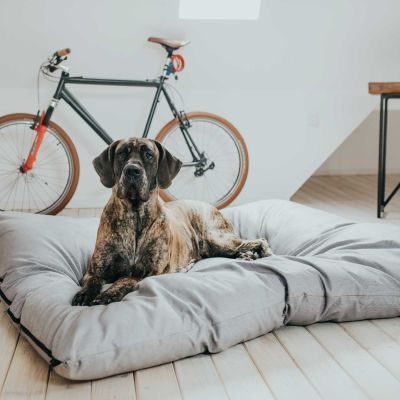 Thumbnail 8: HUNTER Hundebett Lancaster XXXL (175 x 145 cm), grau