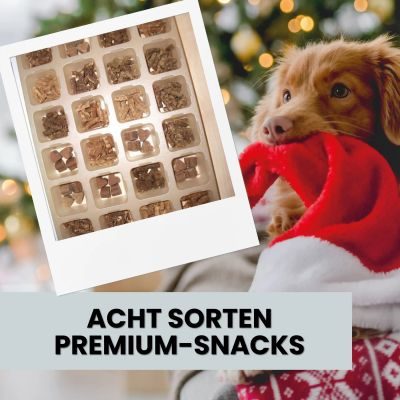 Thumbnail 3: ALPHAZOO Adventskalender 2025 für Hunde