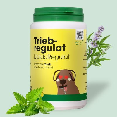 Thumbnail 1: cdVet TriebRegulat 120 g – Natürliche Fütterung in hormonellen Phasen bei Rüden