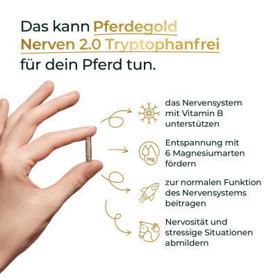 Thumbnail 3: Pferdegold Nerven Eimer 1.5kg