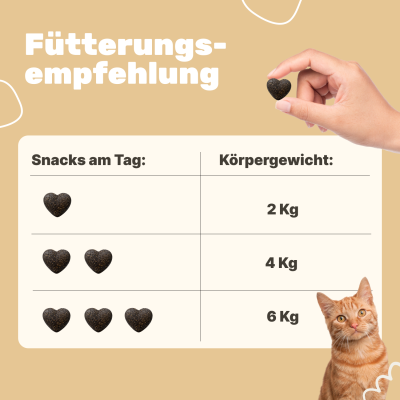 Thumbnail 6: Patsli Fördert Hautgesundheit und ein glänzendes Fell. Entwickelt zur Unterstützung des natürlichen Hautstoffwechsels von Katzen.