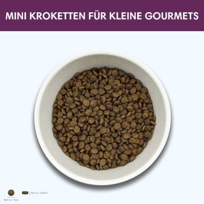 Thumbnail 3: Sollis Welpenfutter mit Truthahn, Trockenfutter für kleine Hunde, 2 kg