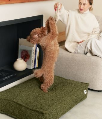 Thumbnail 4: CAFIDE Teddyfell-Hundebett, Cuadra