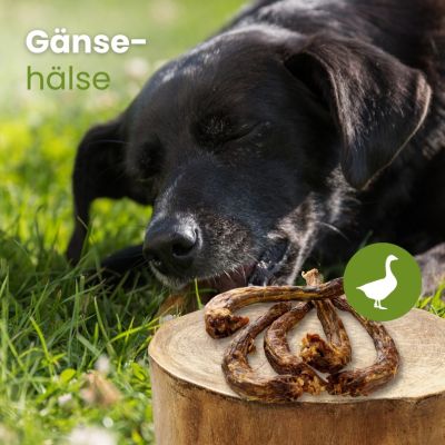 Thumbnail 2: kauartikel.com Gänse-Hälse - Hunde-Kauartikel - Hunde-Snack - Kausnack von der Gans - Leckerli