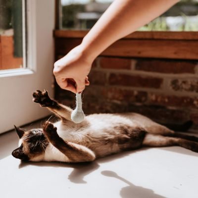 Thumbnail 3: stylecats® Katzenspielzeug Bombs 13 cm, grau