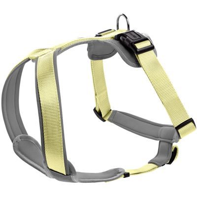 HUNTER Geschirr Neopren L, matcha/grau