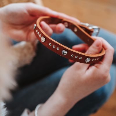 Thumbnail 7: HUNTER Halsband Aalborg Hearts XS (32), cognac