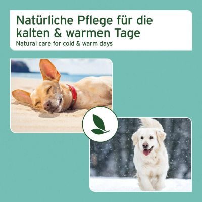 Thumbnail 4: AniForte Pfotenschutz Balsam