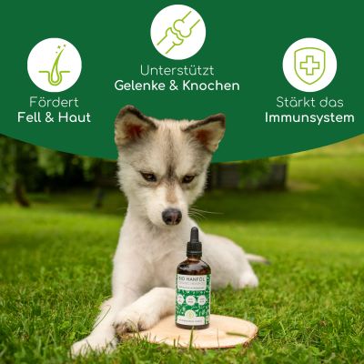 Thumbnail 2: Wolfsbacher Natur Bio Hanföl 100ml