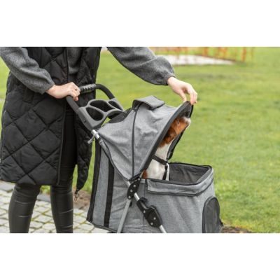 Thumbnail 17: TRIXIE Buggy