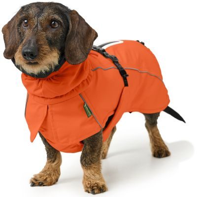 Thumbnail 6: HUNTER Hundemantel Nordby Dachshund 45, orange