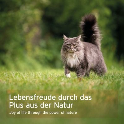 Thumbnail 6: AniForte WermiX für Katzen
