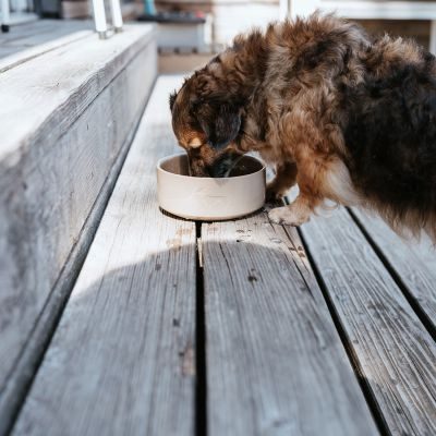 Thumbnail 5: HUNTER Keramik-Napf Osby Glazed 350 ml, beige