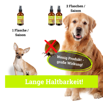 Thumbnail 4: BeG Buddy Pflanzlich basierter Zeckenschutz Hunde & Katzen ohne Chemie - Zeckenspray 100ml