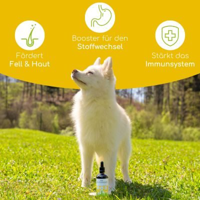 Thumbnail 2: Wolfsbacher Natur Bio Nachtkerzenöl 100 ml