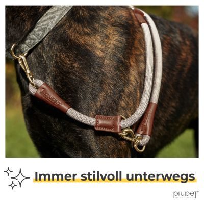 Thumbnail 5: PIUPET Hundeleine 2m | 3-Fach Längenverstellbar | Für Große, Kleine und Mittelgroße Hunde | Leine I Beige