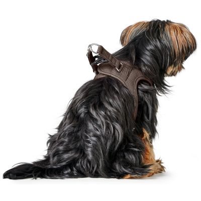 HUNTER Geschirr Love S, braun
