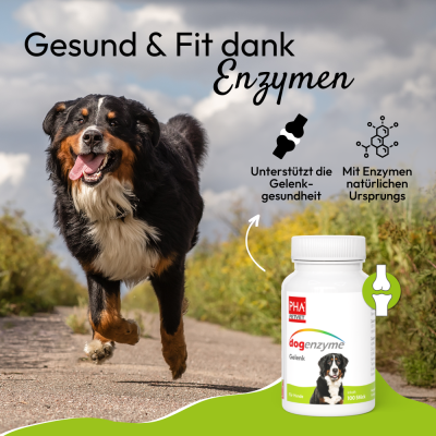 Thumbnail 7: PHA PetVet - PHA dogenzyme – Gelenk 100 Tabletten (46 g) - Unterstützt die Gelenkgesundheit und erhält die optimale Beweglichkeit.