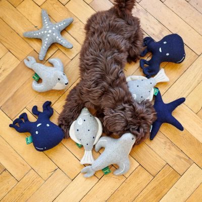 Thumbnail 5: HUNTER Hundespielzeug Skagen Tintenfisch, blau 21 cm