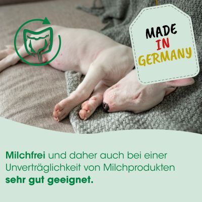 Thumbnail 2: cdVet DarmAktiv Hund & Katze 1 L – Natürliche Unterstützung für eine ausgeglichene Darmflora