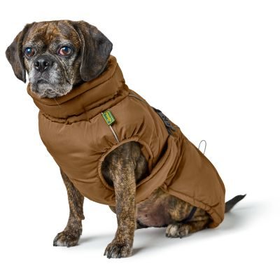 Thumbnail 7: HUNTER Hundemantel Paxson Mops & Co. 44, karamell