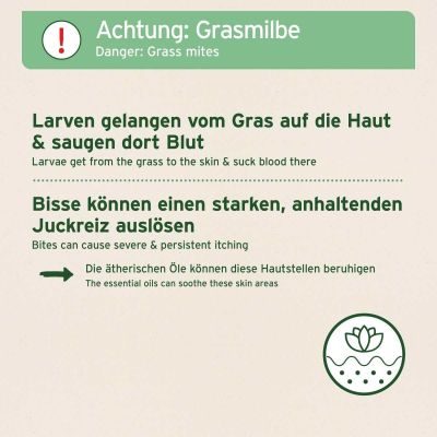Thumbnail 8: AniForte Grasmilben-EX Spray 250 ml