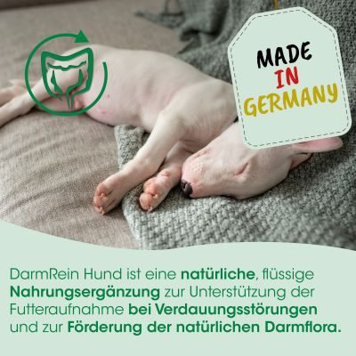 Thumbnail 6: cdVet DarmRein Hund 100 ml – Natürliche Unterstützung für die Darmhygiene bei Hunden