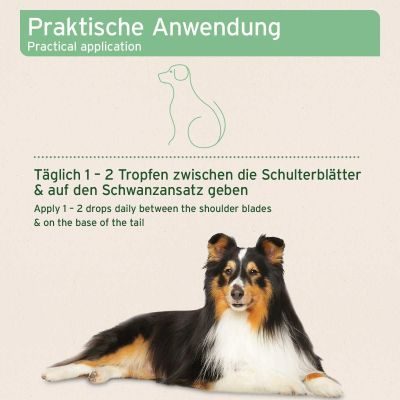 Thumbnail 5: AniForte Ectoprotex Spot-on für Hunde