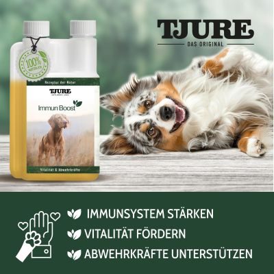 Thumbnail 5: TJURE TJURE - Immun Boost - 500 ml | Extraportion Wohlbefinden | Kräftigung der Immunabwehr |