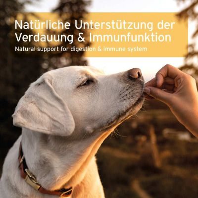 Thumbnail 6: AniForte Prebiotic TopinPur VET