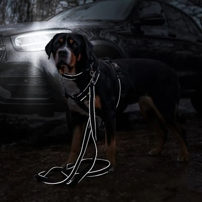 Thumbnail 4: Rudelkönig Gepolstertes Brustgeschirr mit Haltegriff, Verstellbares Hundegeschirr