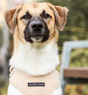 Thumbnail 4: Fluffy Dog Hundegeschirr „Teddy“ – weich, vegan & atmungsaktiv mit D-Ring und verstellbarem Sitz