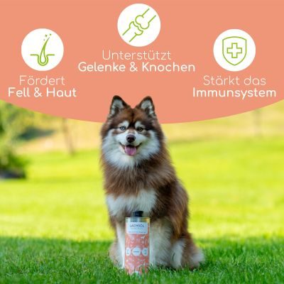 Thumbnail 3: Wolfsbacher Natur Natürliches Lachsöl für Hunde & Katzen 250ml