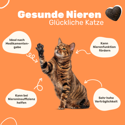 Thumbnail 4: Patsli Funktionaler Katzensnack zur Unterstützung der Harnwege und Blasengesundheit – entwickelt für den täglichen Bedarf