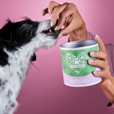 Thumbnail 4: Tierliebhaber Darmpflege Drops für Hunde - Natürliche Darmpflege für gesunde, feste Häufchen