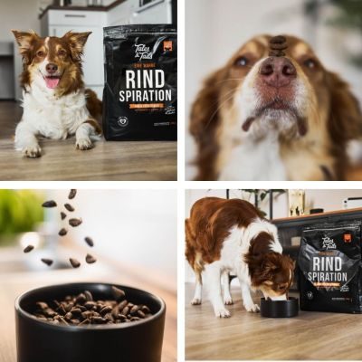 Thumbnail 7: Tales & Tails Eine wahre Rindspiration Softtrockenfutter - 8 kg (2x4 kg)