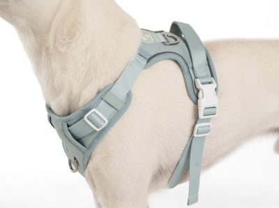 Thumbnail 10: SimplePets Alltagsheld-Geschirr in Pastel Mint