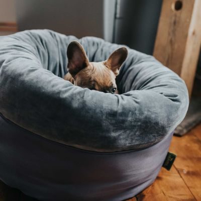 Thumbnail 4: HUNTER Hunde- und Katzenschlafplatz Miranda Ø 50 cm, anthrazit