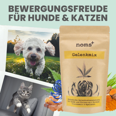 Thumbnail 1: Noms+ Gelenkmix für Hunde & Katzen mit Teufelskralle, Kurkuma & Glucosamin