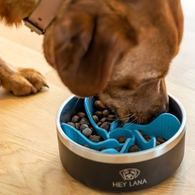 Thumbnail 3: Hey Lana Gourmet Bremse - Anti-Schling Einsatz für Fressnapf