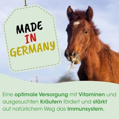 Thumbnail 4: cdVet HustaVet plus 450 g - Ergänzungsfuttermittel mit Schwarzkümmel für Pferde