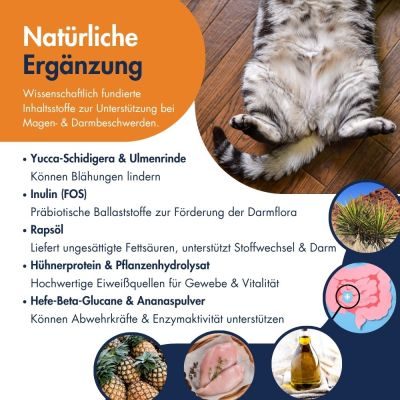 Thumbnail 3: Dr.Clauder’s Magen-Darm Emulsion 150g 150g