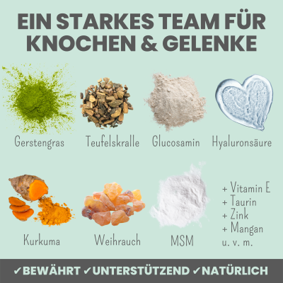 Thumbnail 2: Noms+ Gelenkmix für Hunde & Katzen mit Teufelskralle, Kurkuma & Glucosamin