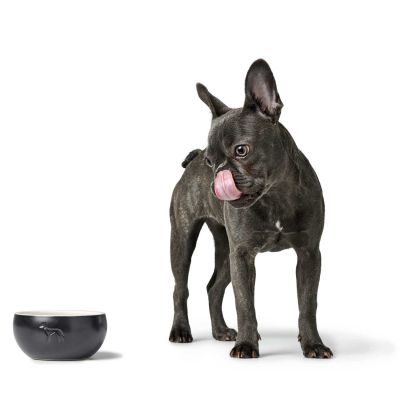 Thumbnail 4: HUNTER Keramik-Napf Lund 1500 ml, schwarz