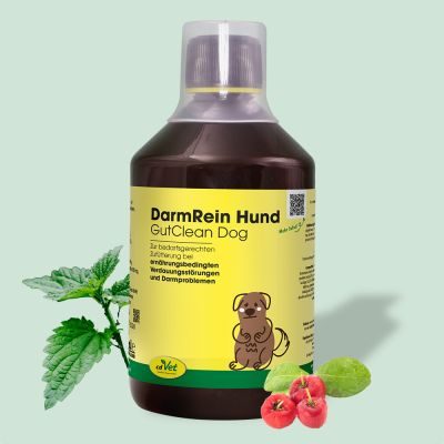 Thumbnail 2: cdVet DarmRein Hund 500 ml – Natürliche Unterstützung für die Darmhygiene bei Hunden