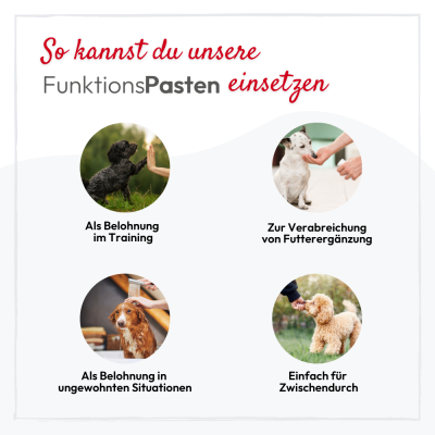 Thumbnail 3: PHA PetVet - PHA BeruhigungsPaste für Hunde - 100 ml - Nahrungsergänzung - Futterergänzung