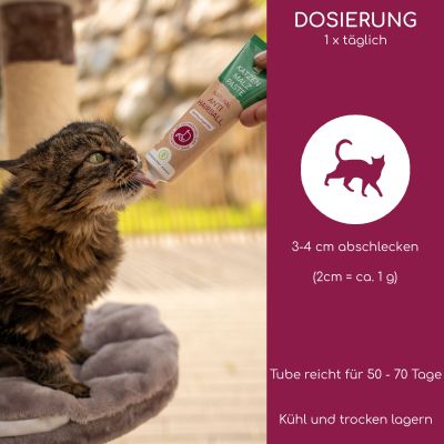 Thumbnail 4: Wolfsbacher Natur Anti-Hairball Paste 100 g